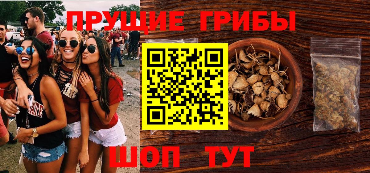 Псилоцибиновые грибы MAGIC MUSHROOMS Майкоп